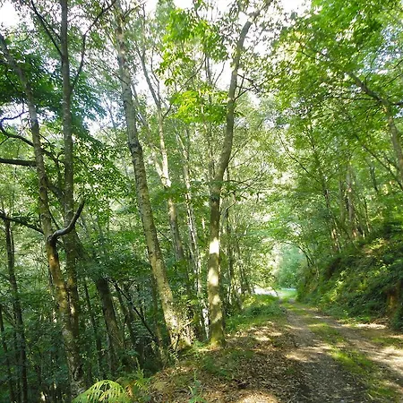 La Collada San Pelayo de Tehona