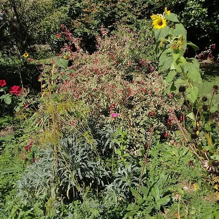Appartement La Collada San Pelayo de Tehona