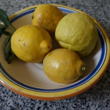 شقة La Collada San Pelayo de Tehona