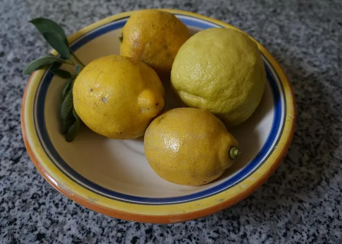 Apartamento La Collada San Pelayo de Tehona