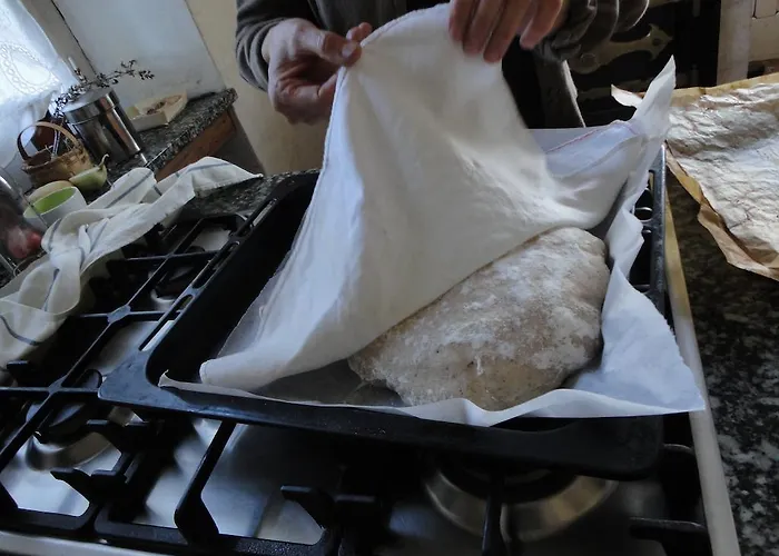 Apartamento La Collada *