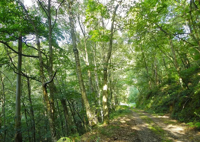 La Collada San Pelayo de Tehona