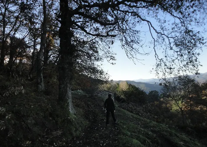 La Collada San Pelayo de Tehona