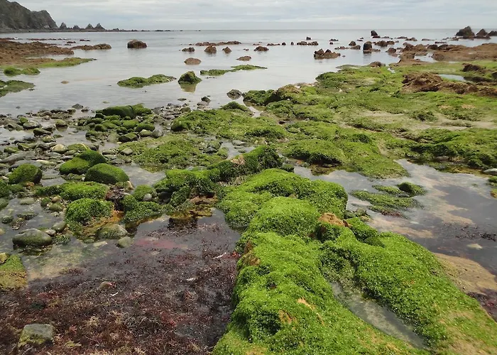 La Collada San Pelayo de Tehona