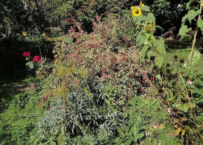 Apartamento La Collada San Pelayo de Tehona