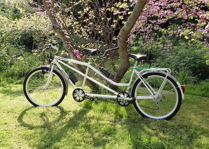 Apartamento La Collada *