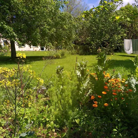 La Collada San Pelayo de Tehona