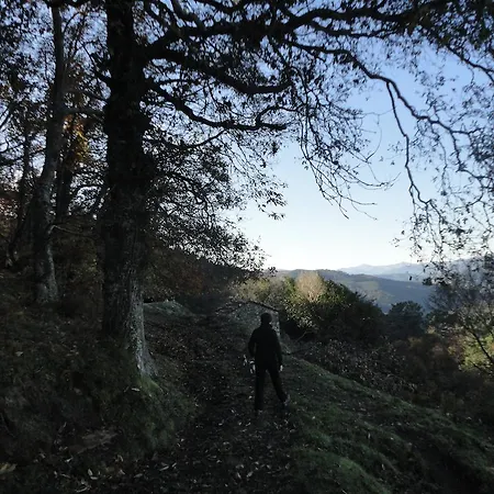 La Collada San Pelayo de Tehona