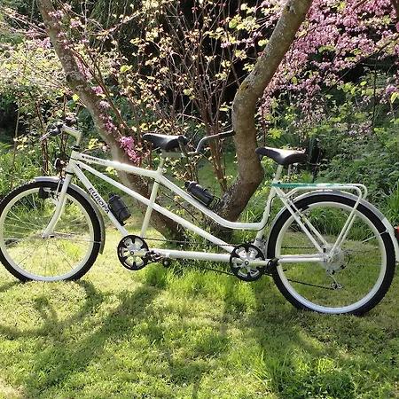 Lägenhet La Collada *